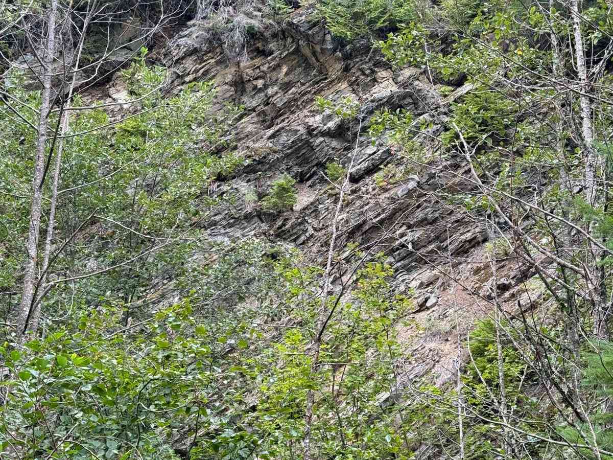 Murphy Creek photo 6