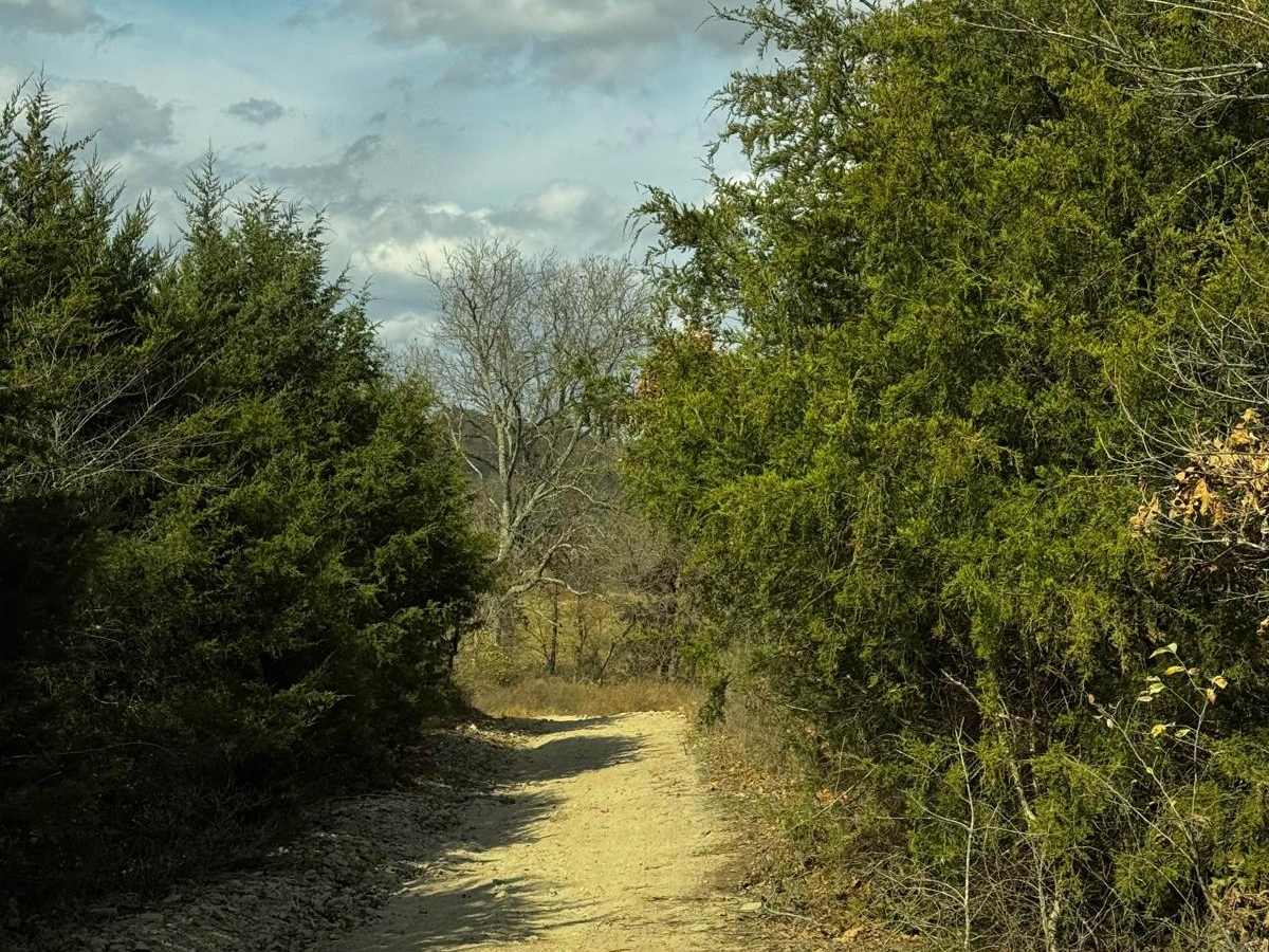 Big Cat trail photo