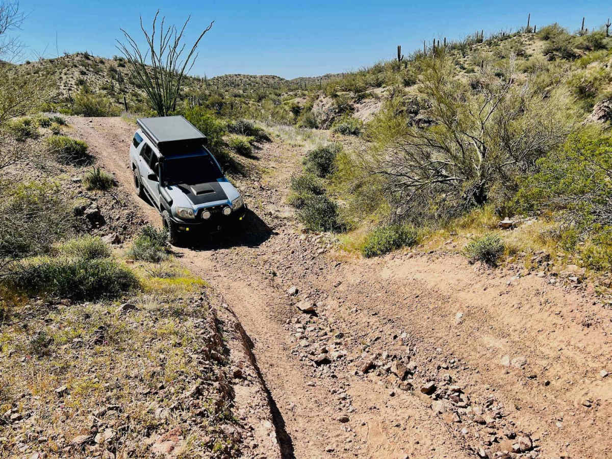 Jimmie Wash Trail photo 3