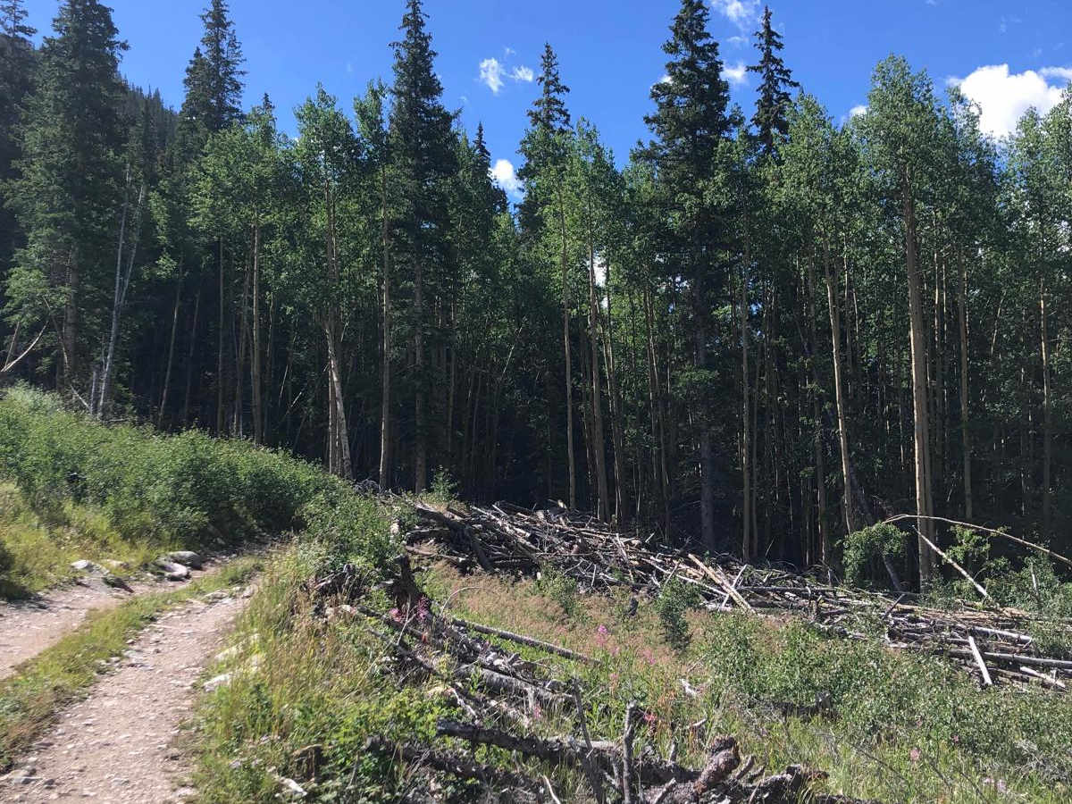 Clohesy Lake photo 2