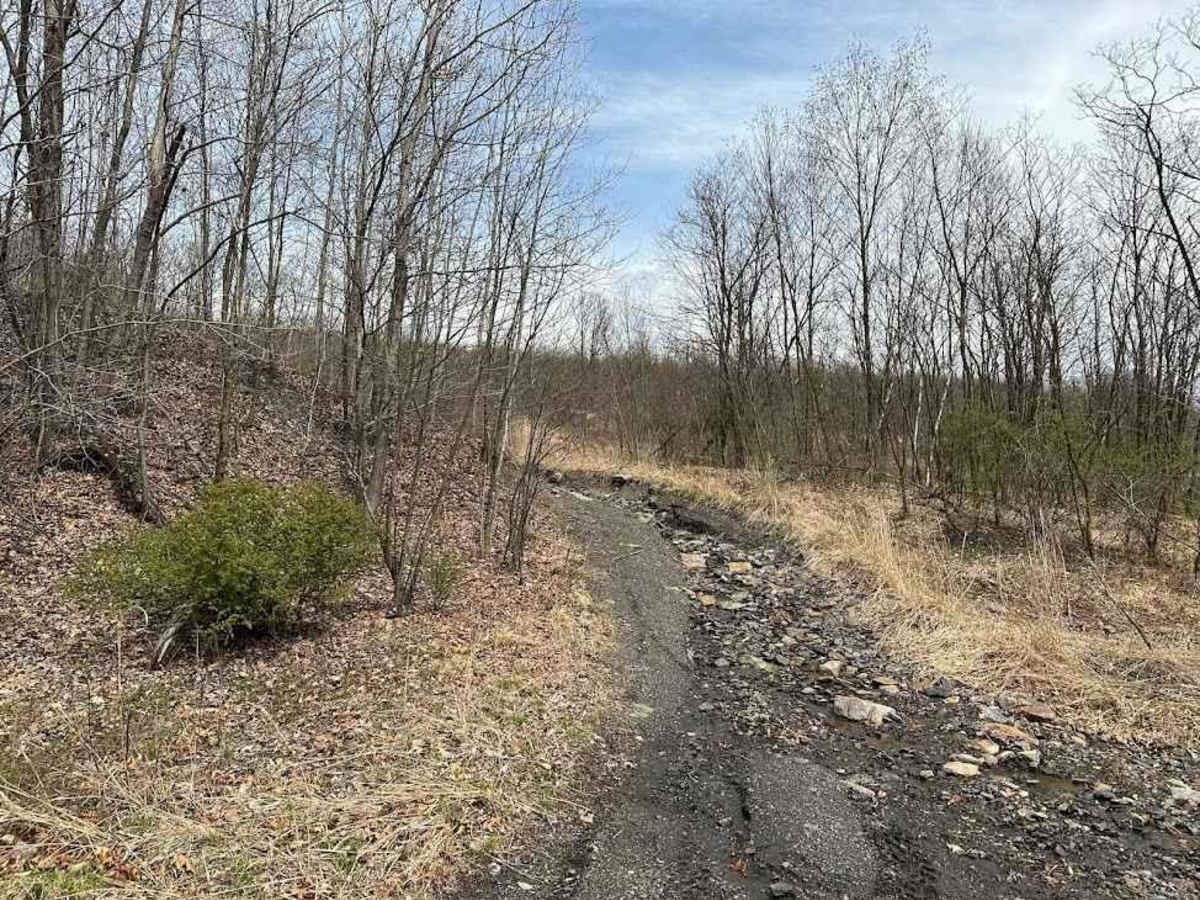 St. Keirns 107 trail photo