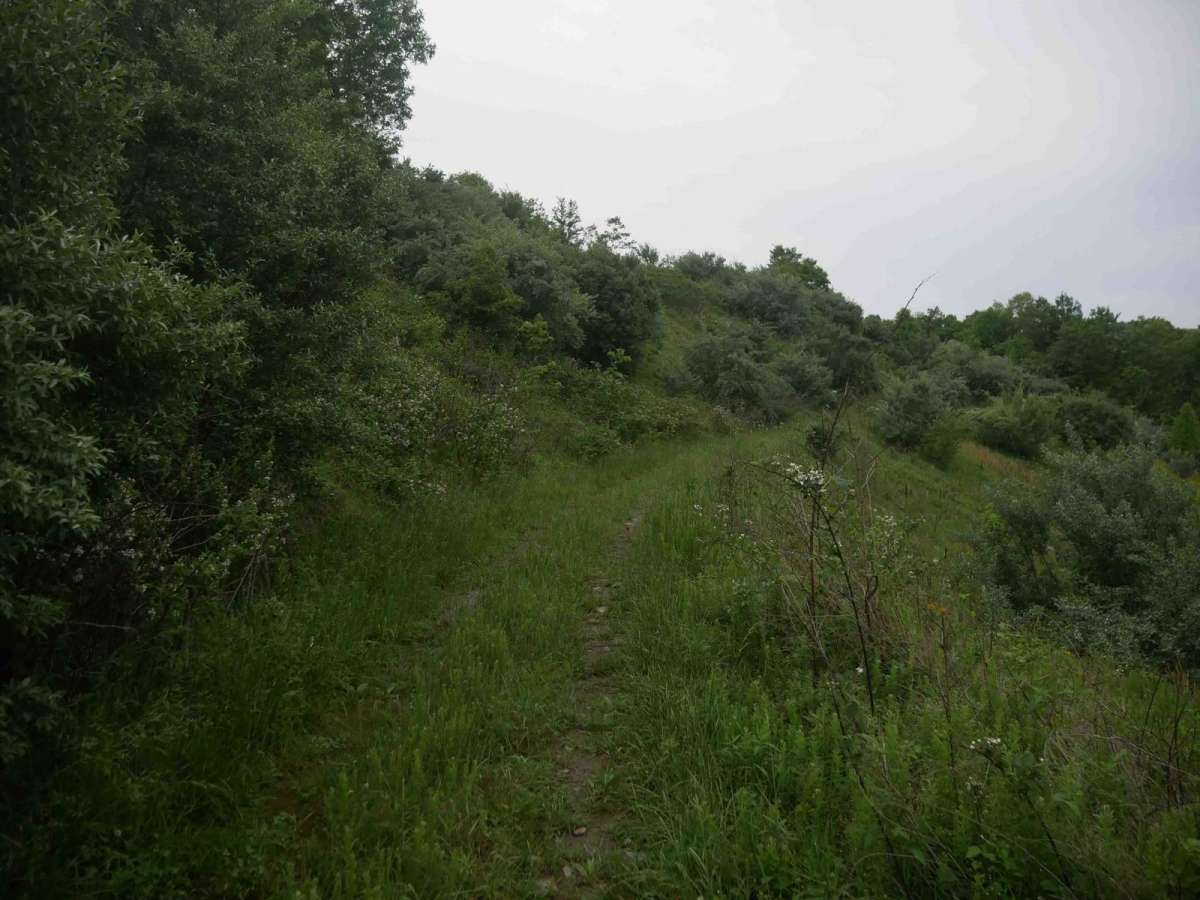 CC40 photo 4