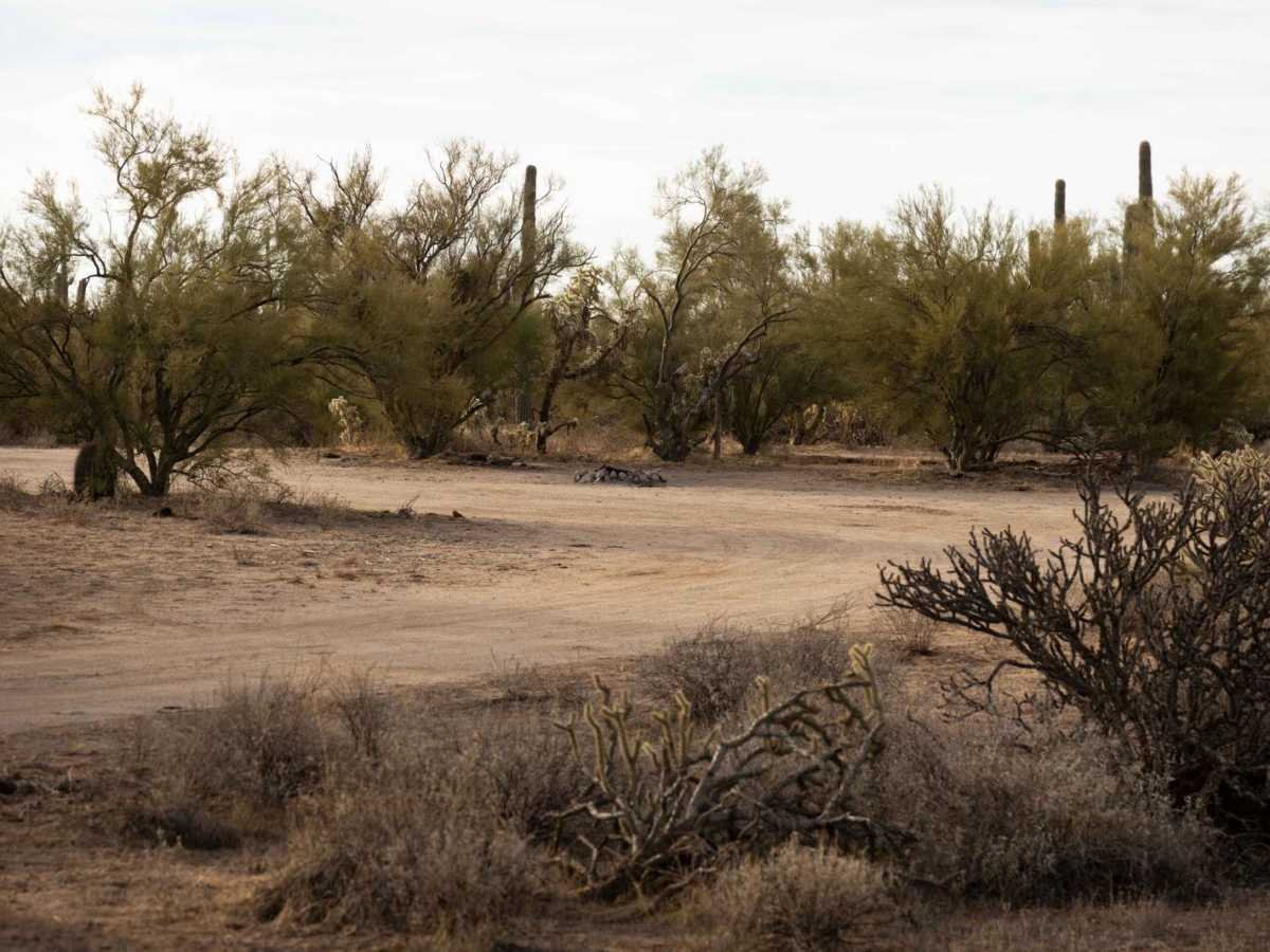 Iron Valley Road photo 6