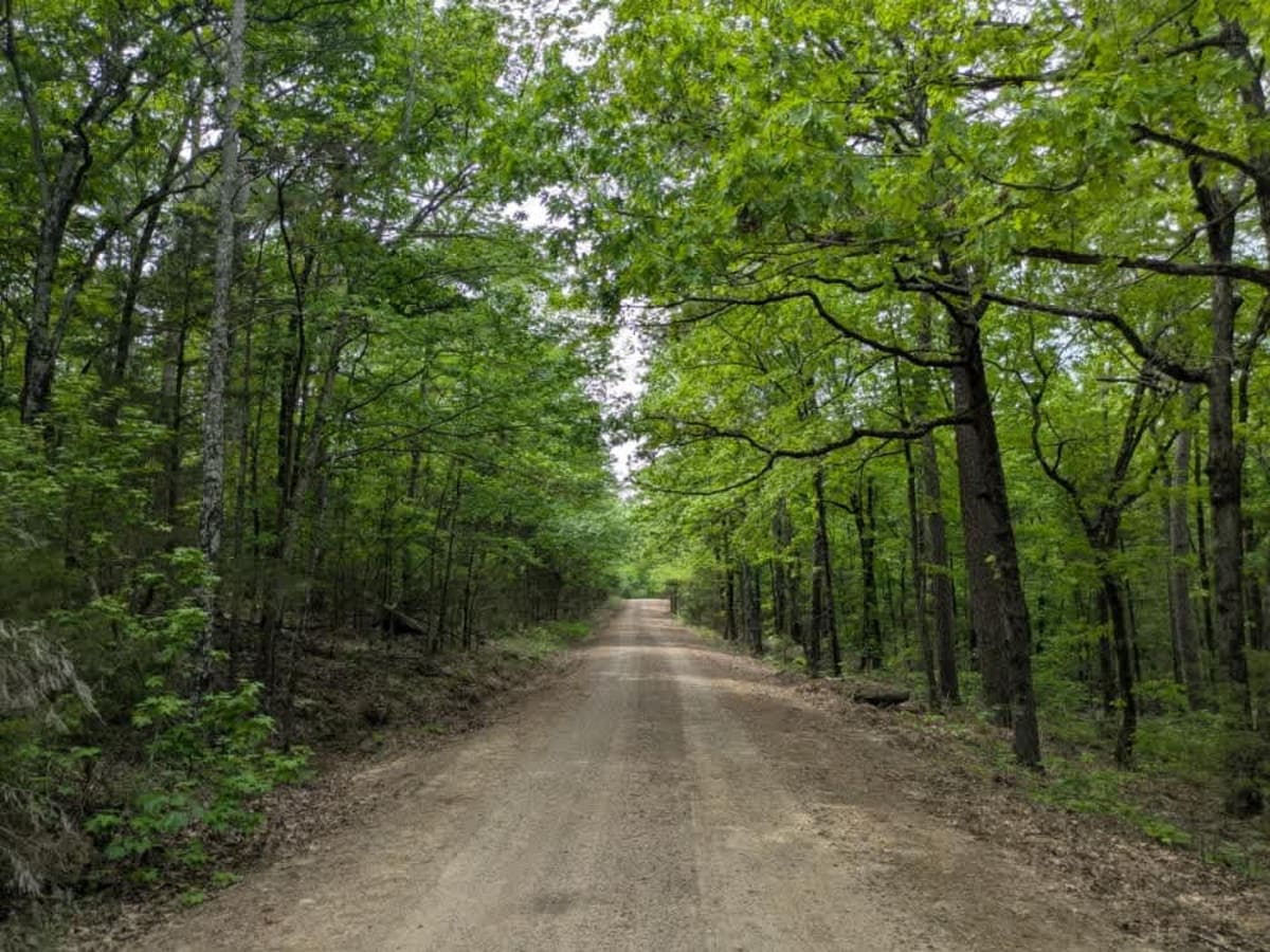 Carter Mountain photo 2