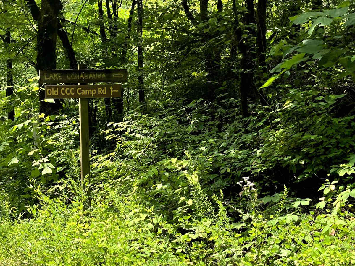 Mulberry Gap Road photo 2