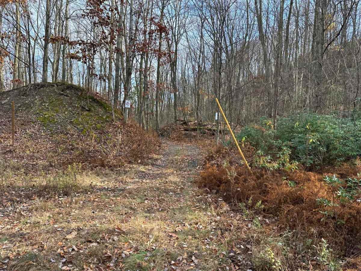Ashland 168 photo 5