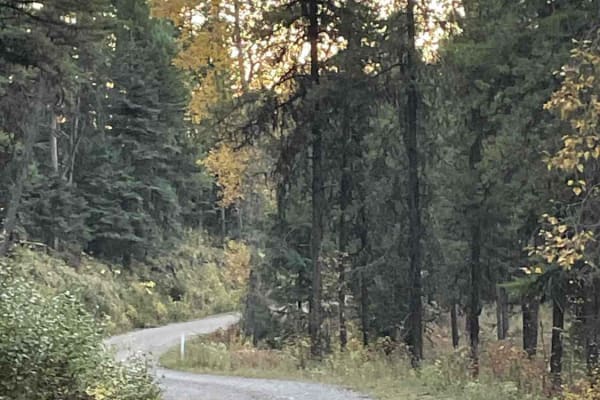 Jocko Canyon Road