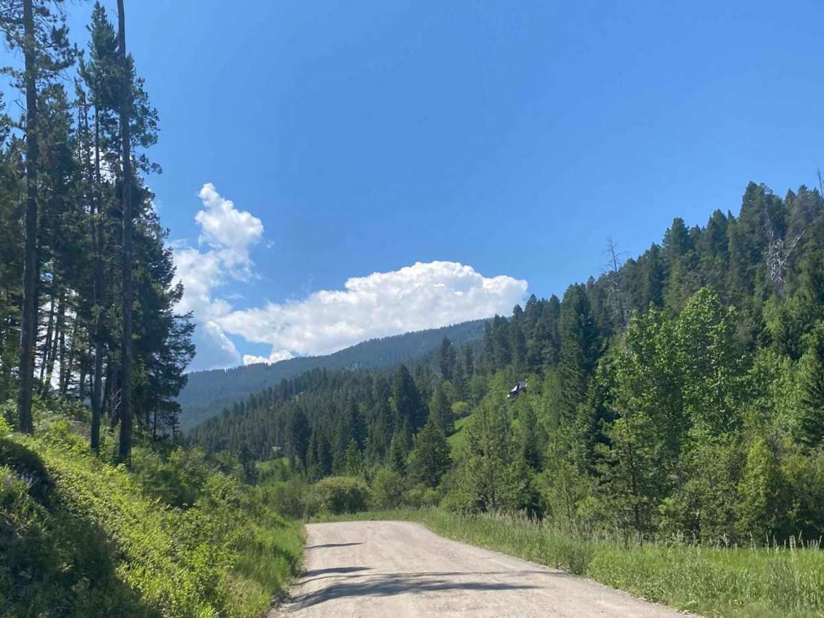 Goose Creek Trailhead trail photo