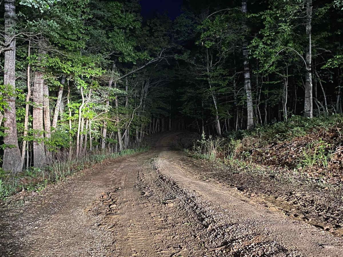 Edinburg Gap photo 6