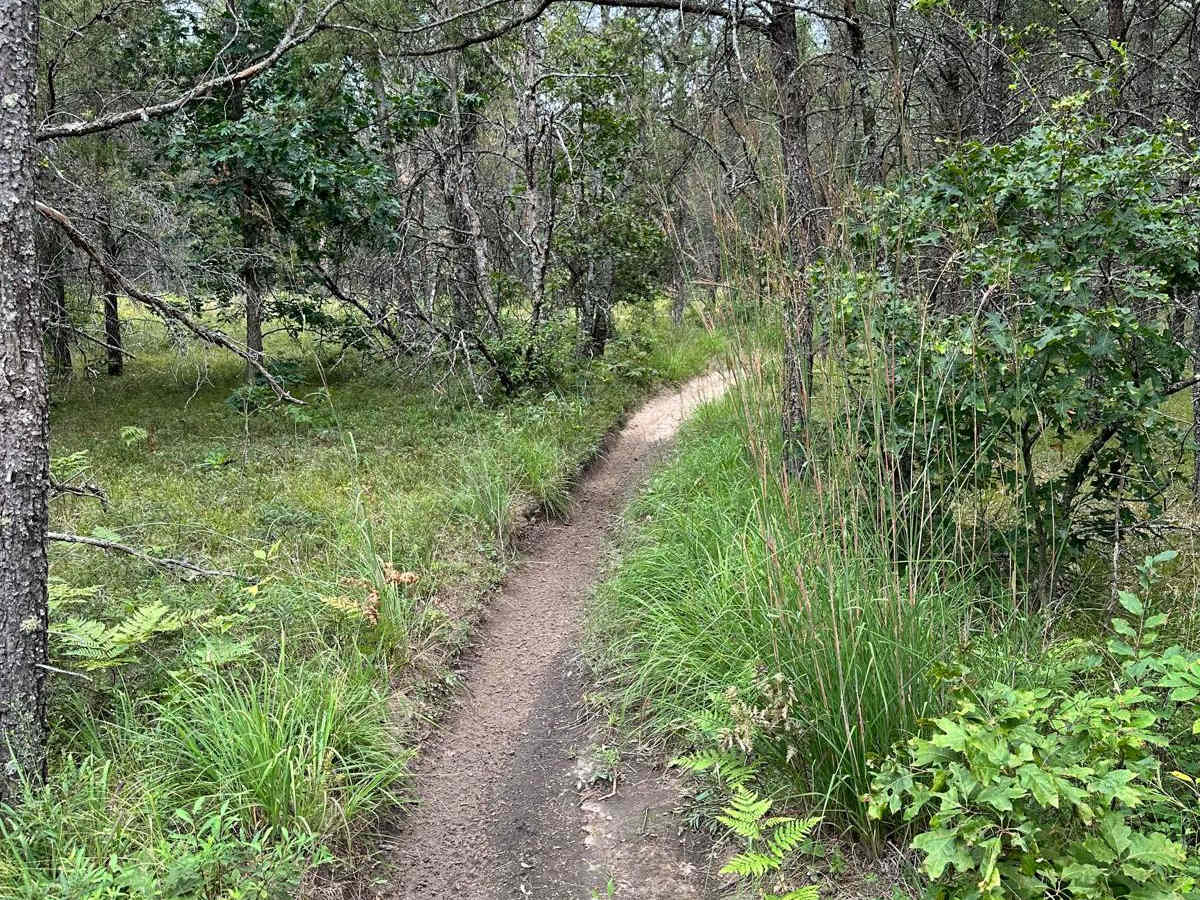 S/W Little Manistee Motorcycle Trail photo 3