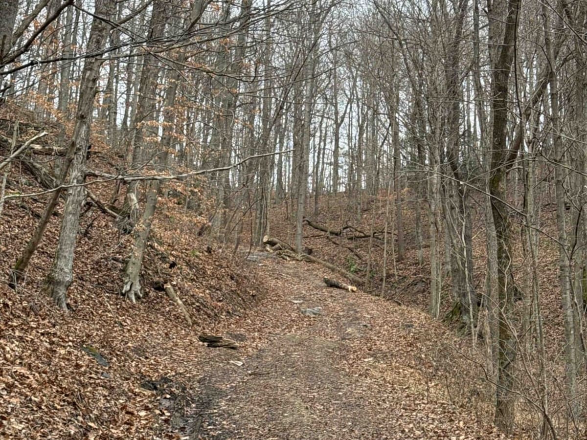Johnson Hollow trail photo