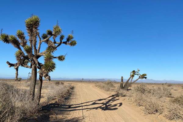 Ruta El Arco South