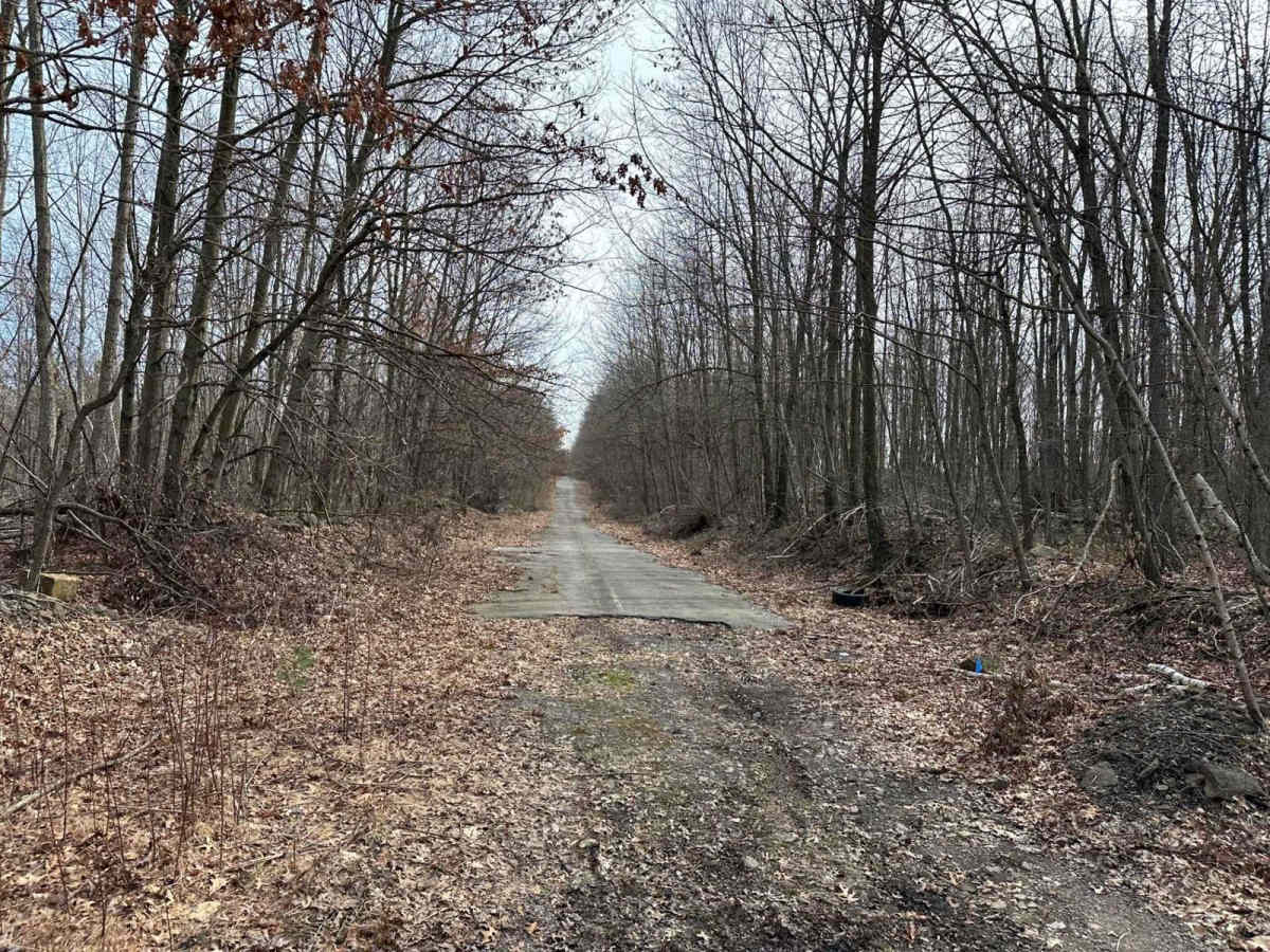Ashland 94 trail photo