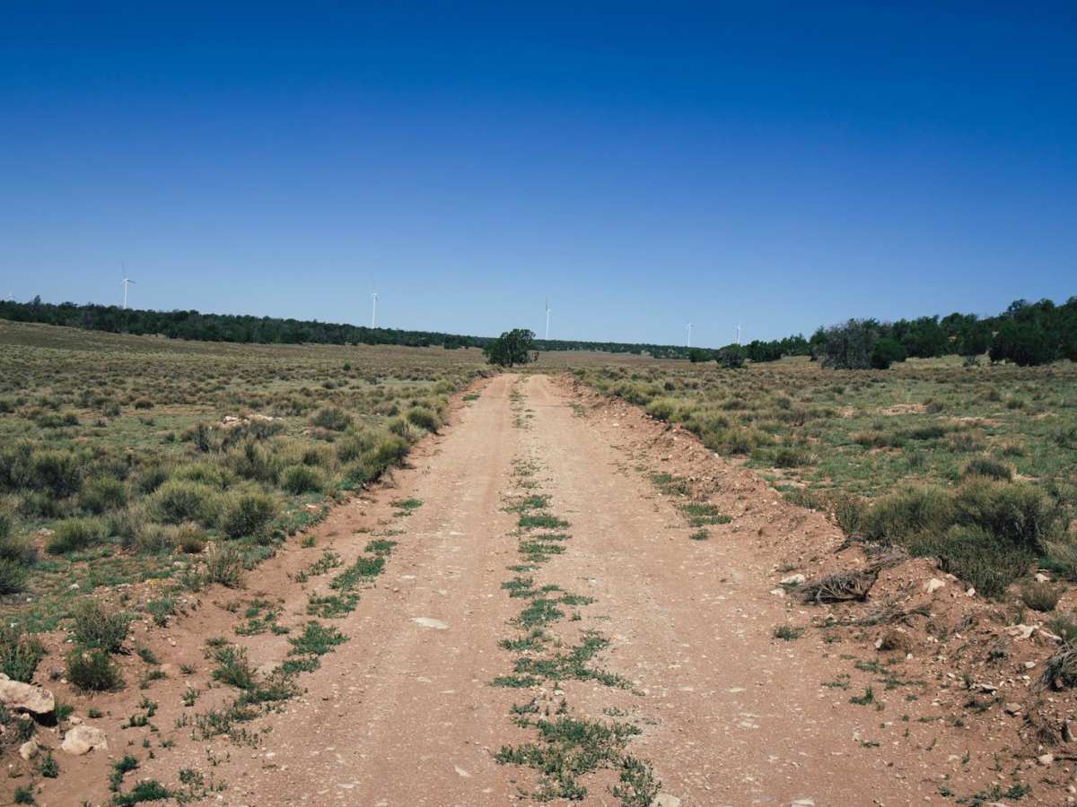 Pasture Pass photo 4