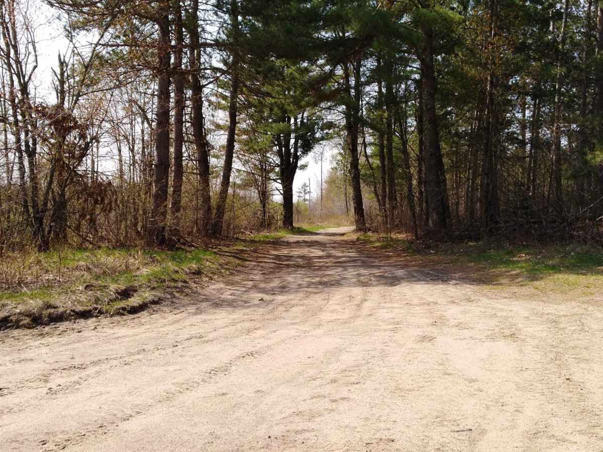 Moose River Connector Trail photo 3