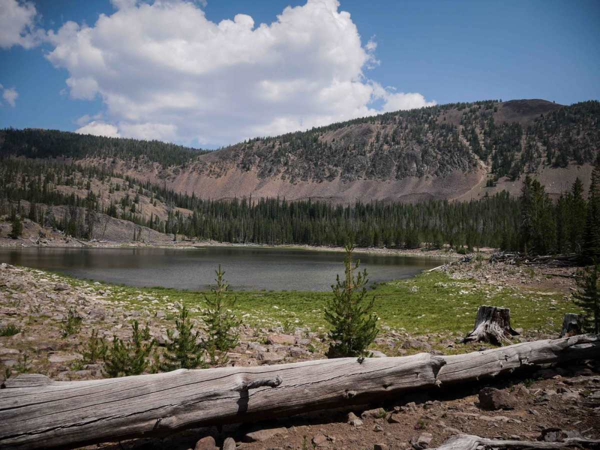 Challis Creek Lakes trail photo
