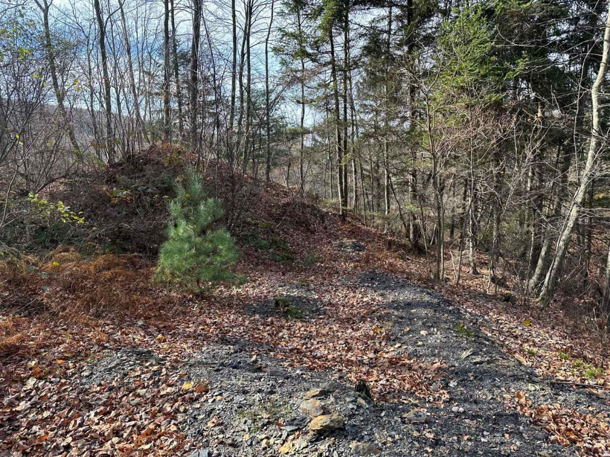 Ashland 165 trail photo