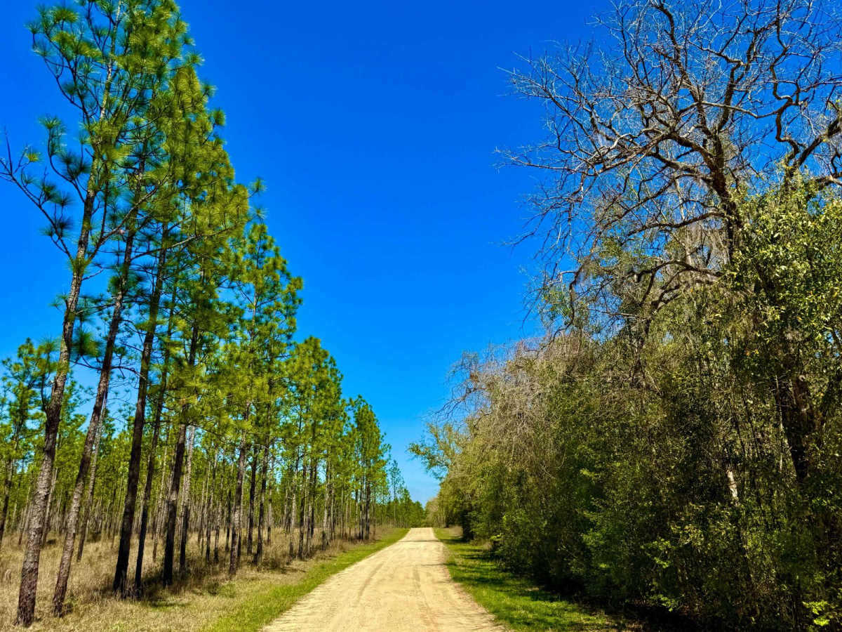 Turkey Flat Road photo 6