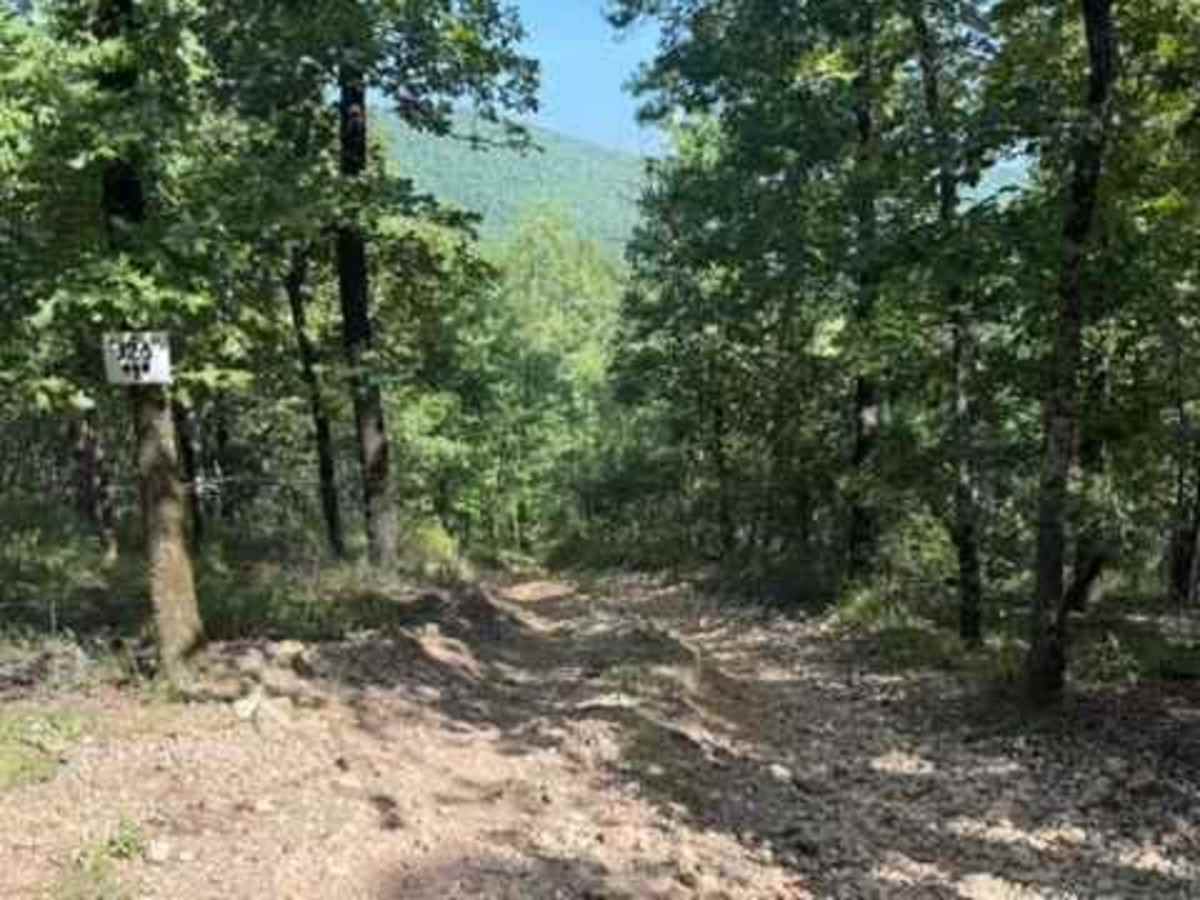 J26 trail photo