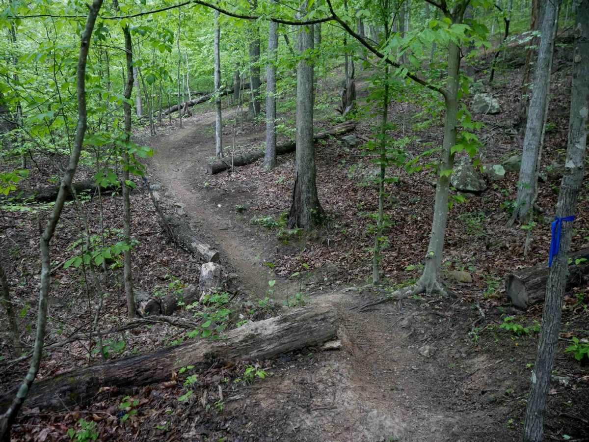 T24 trail photo