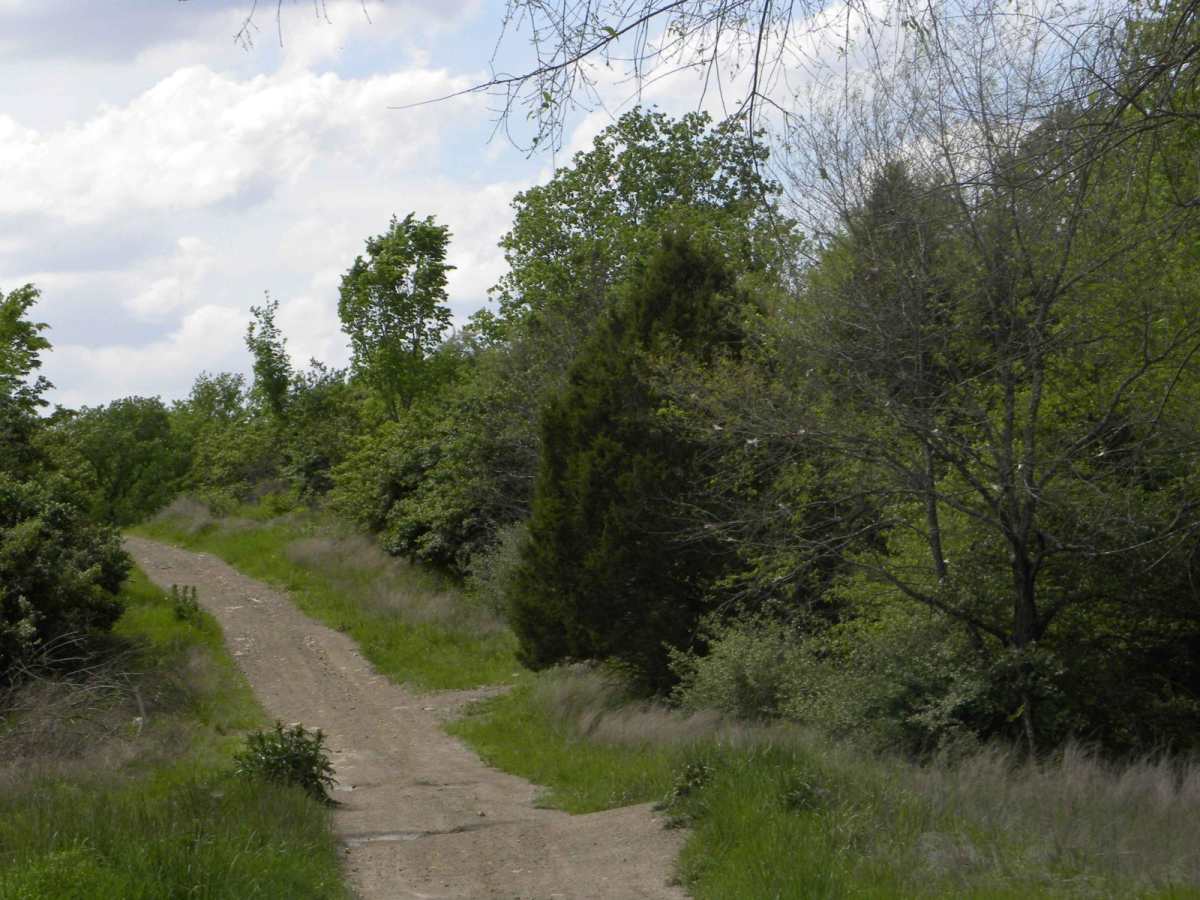 Trail 1A photo 2