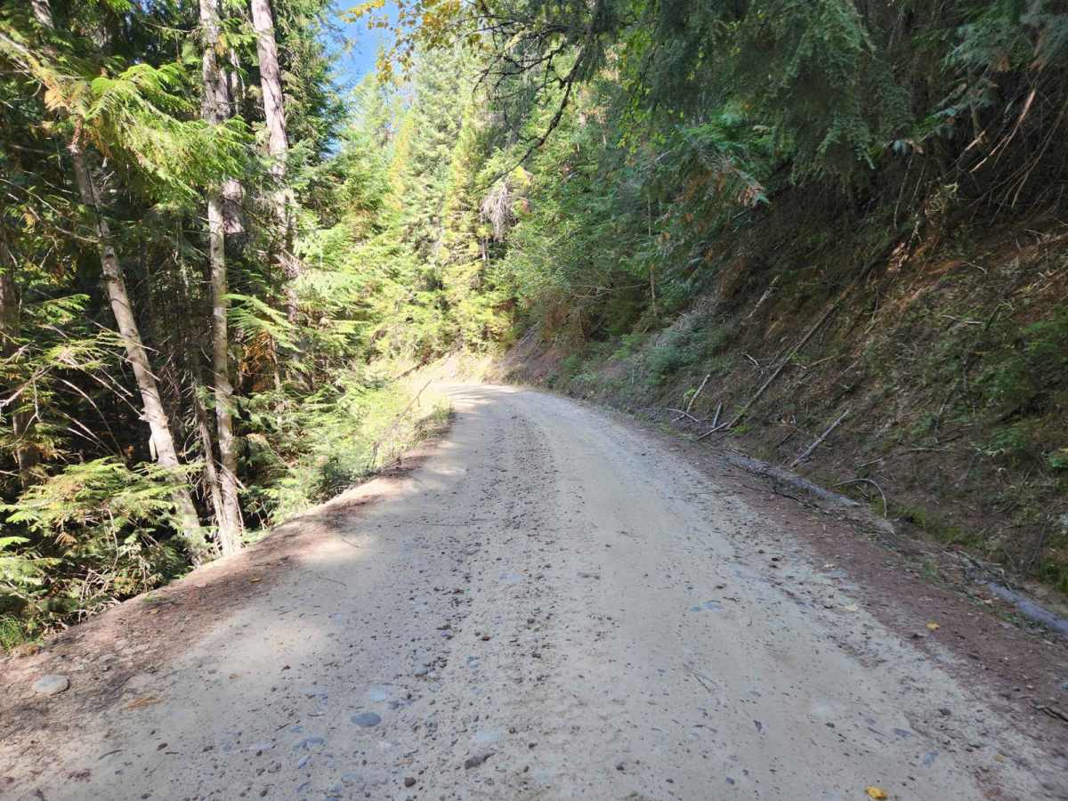 Deer Ridge photo 3