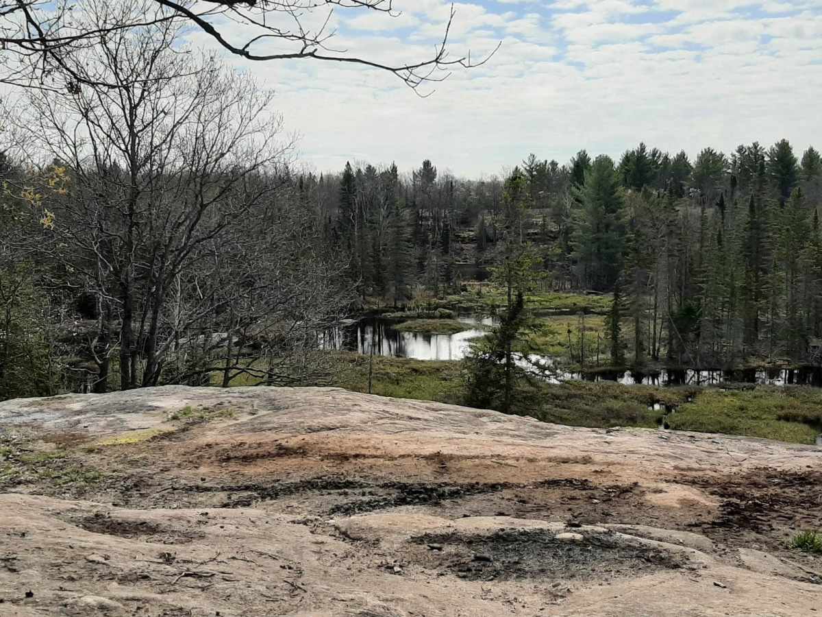Pencil Lake photo 2