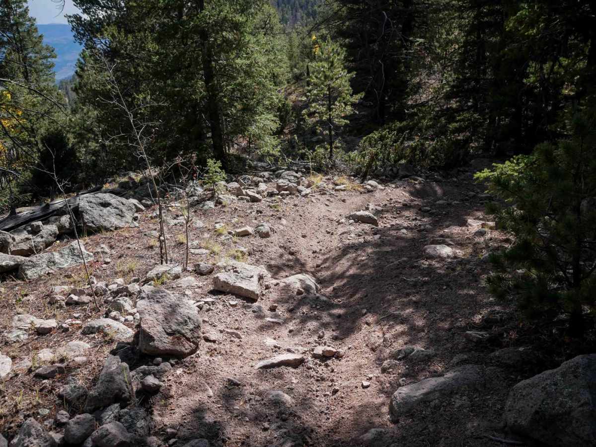 West Bear 932 photo 3