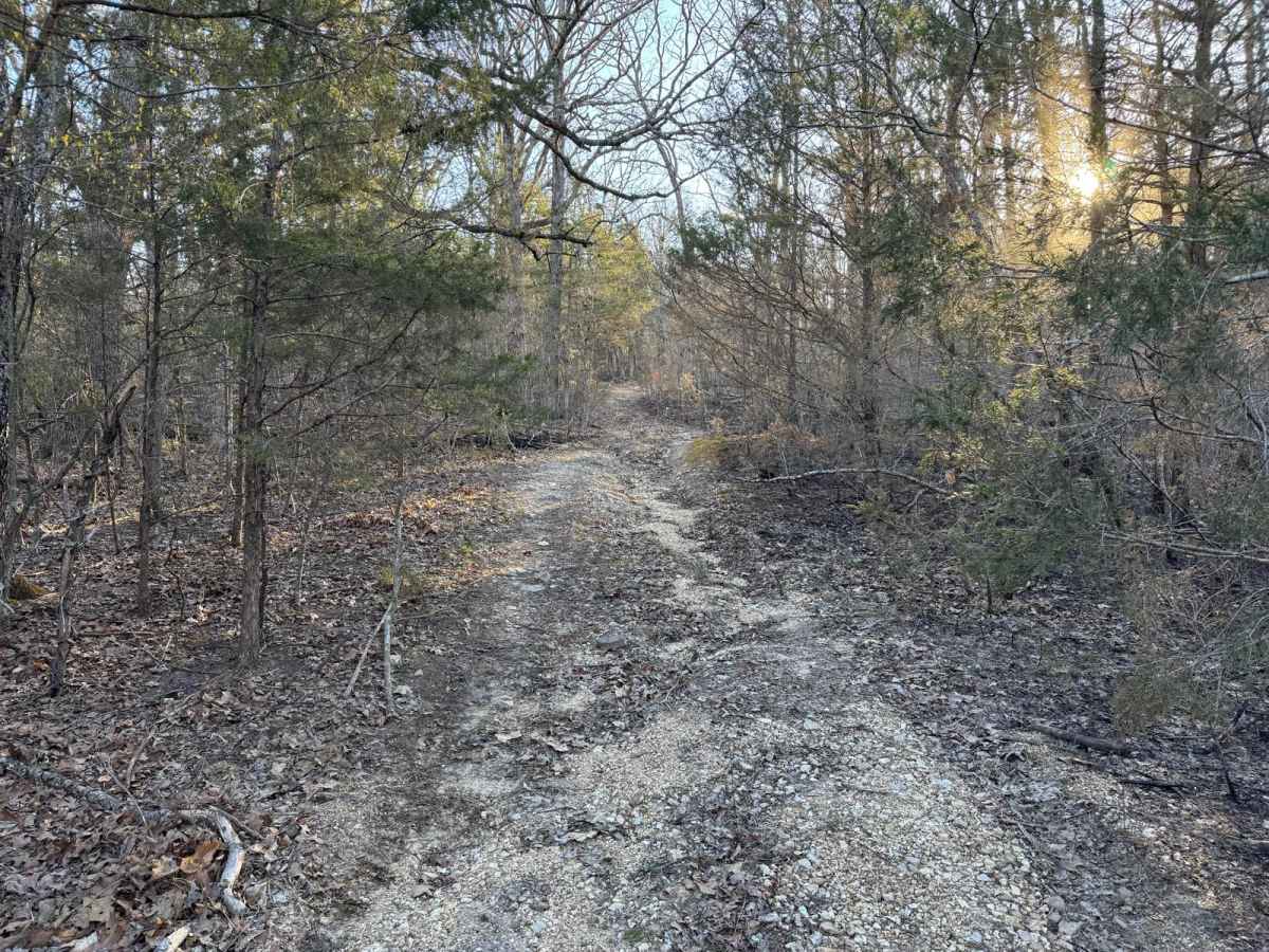 County Road 523 photo 5