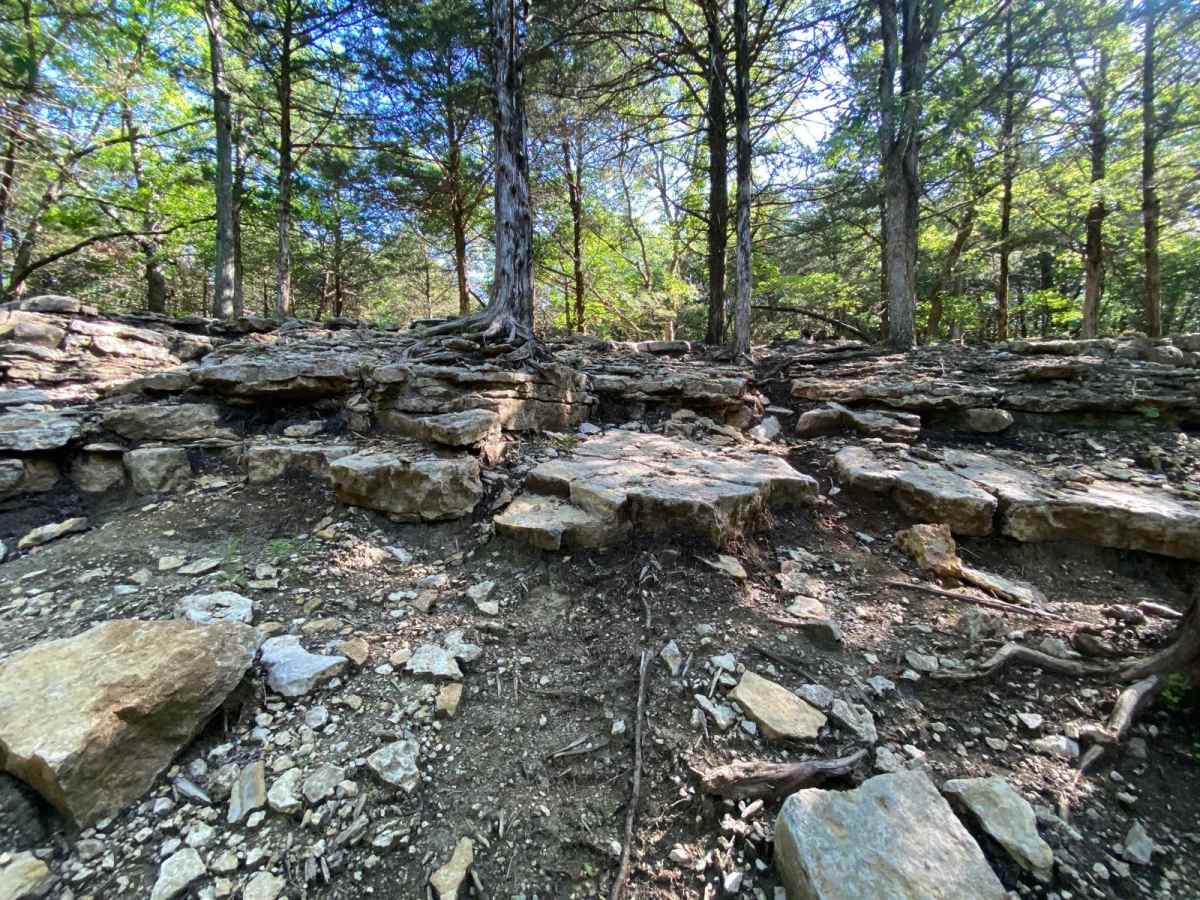 Turner's Trail photo 4