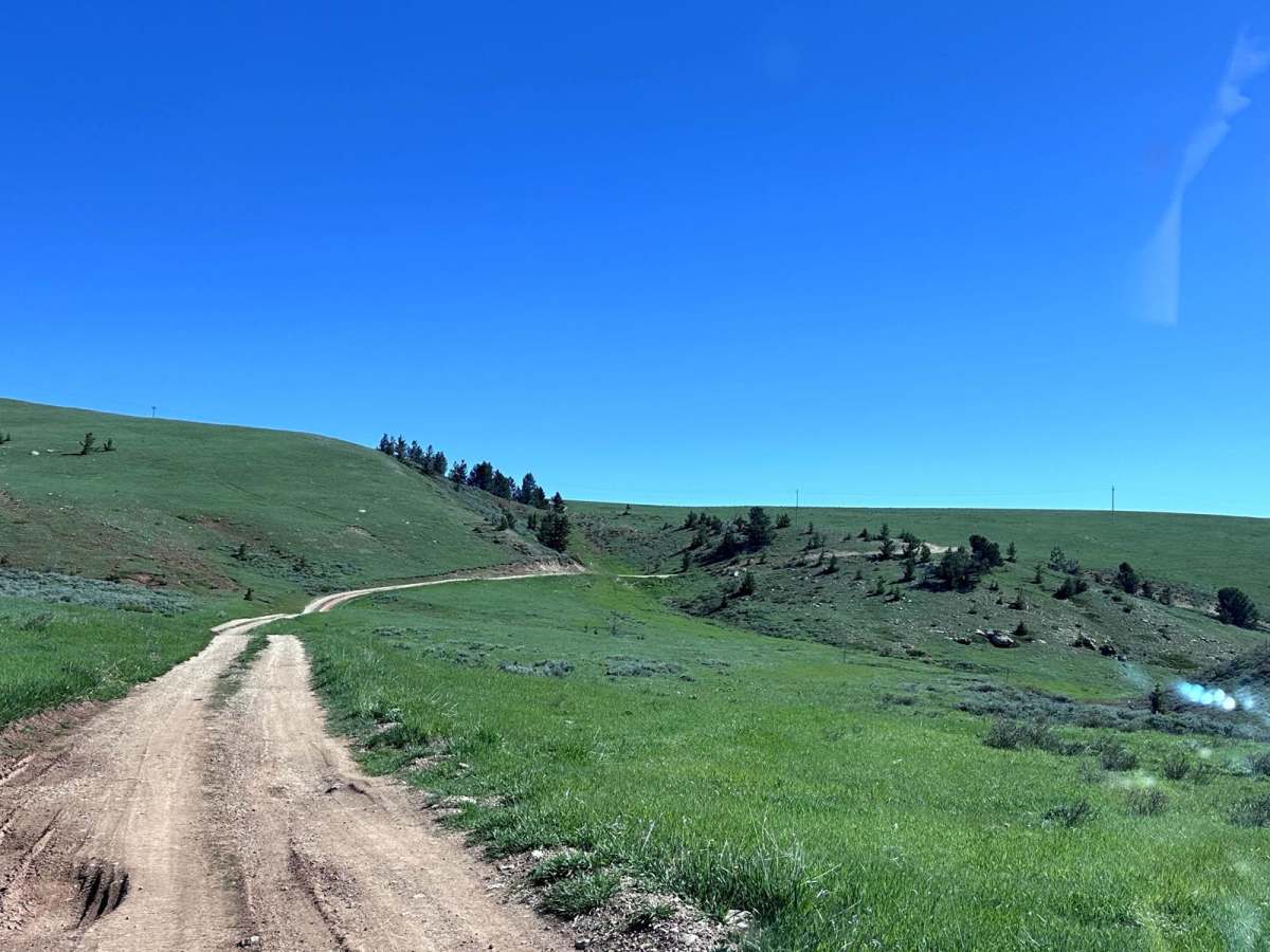 Bald Ridge - FSR 100 photo 3