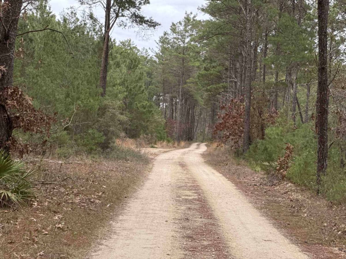 Silver Lake Road photo 4