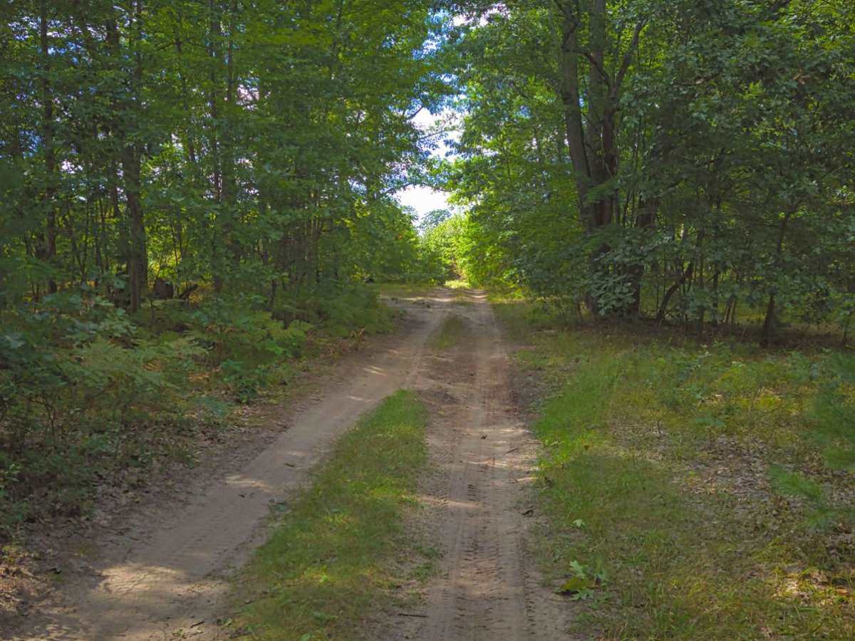 Whisker's Trail photo 4