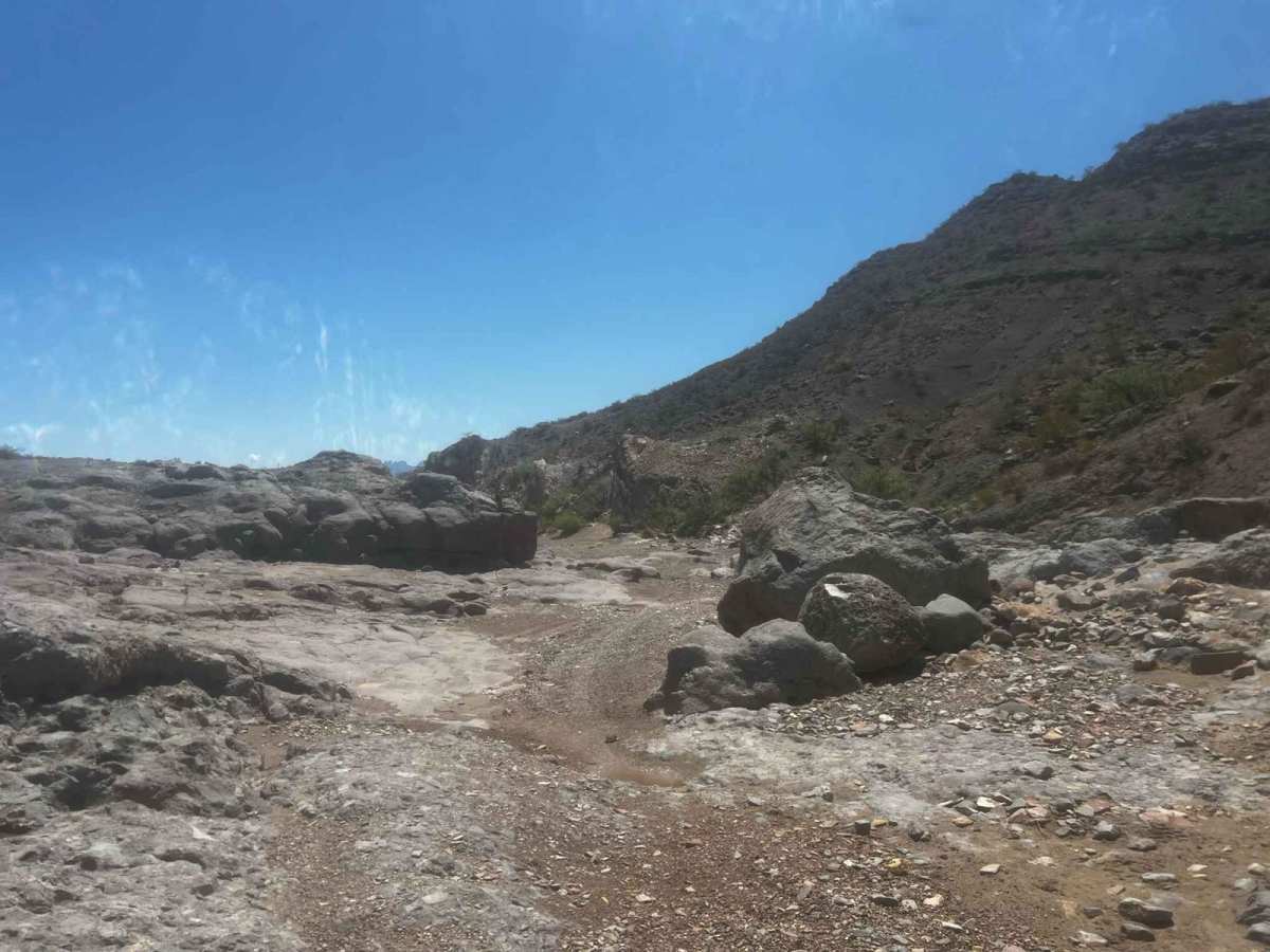 West Mesa Loves Loop trail photo