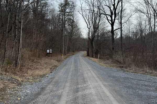 Panther Road