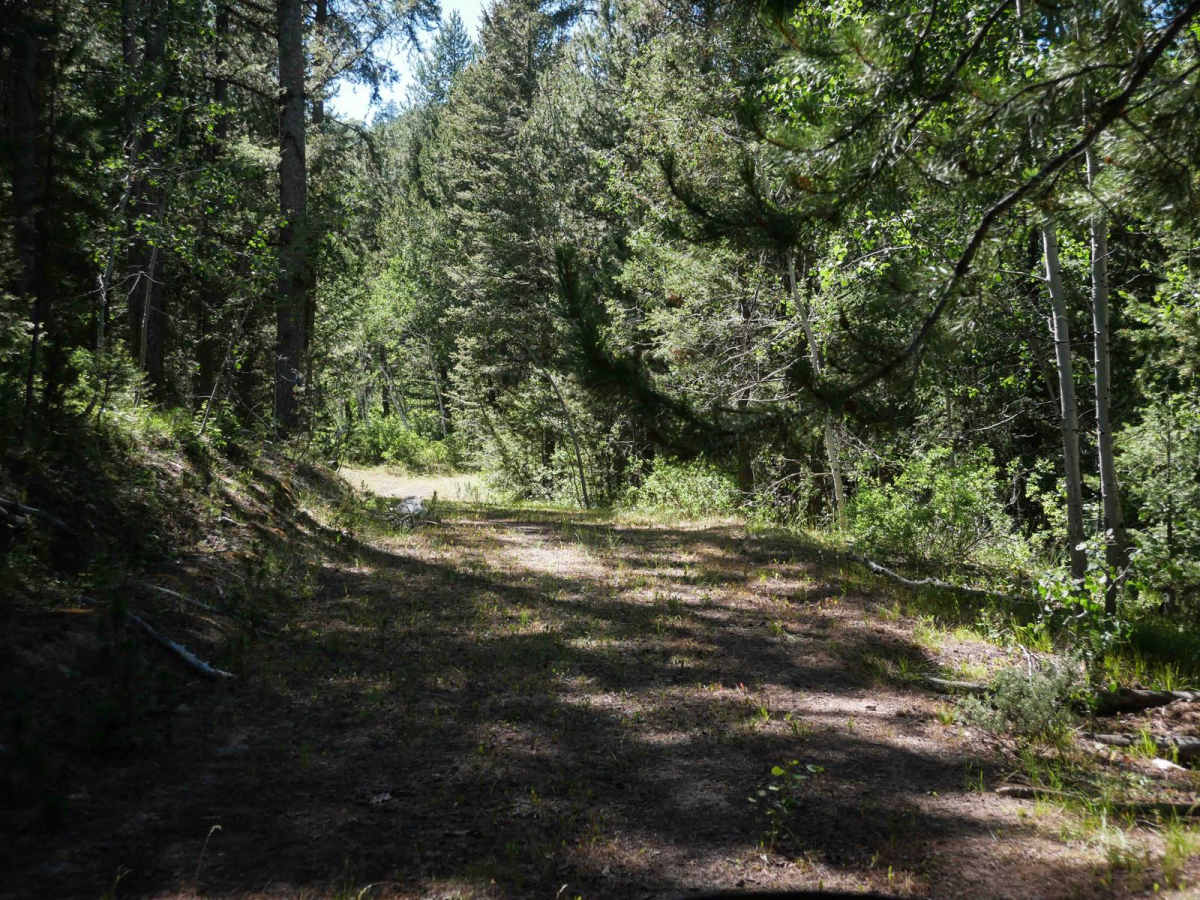 Green Basin #5229  photo 5