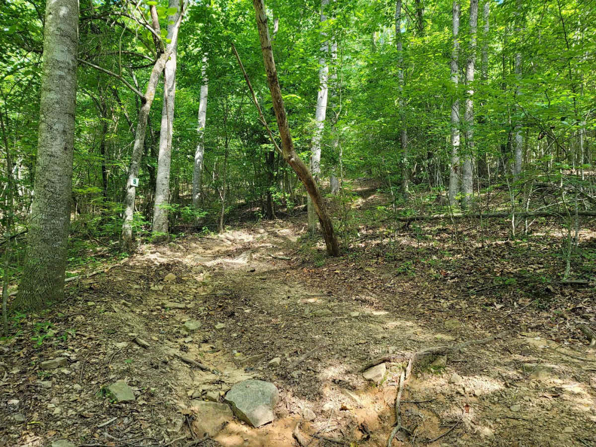 5 - Lifeform trail photo