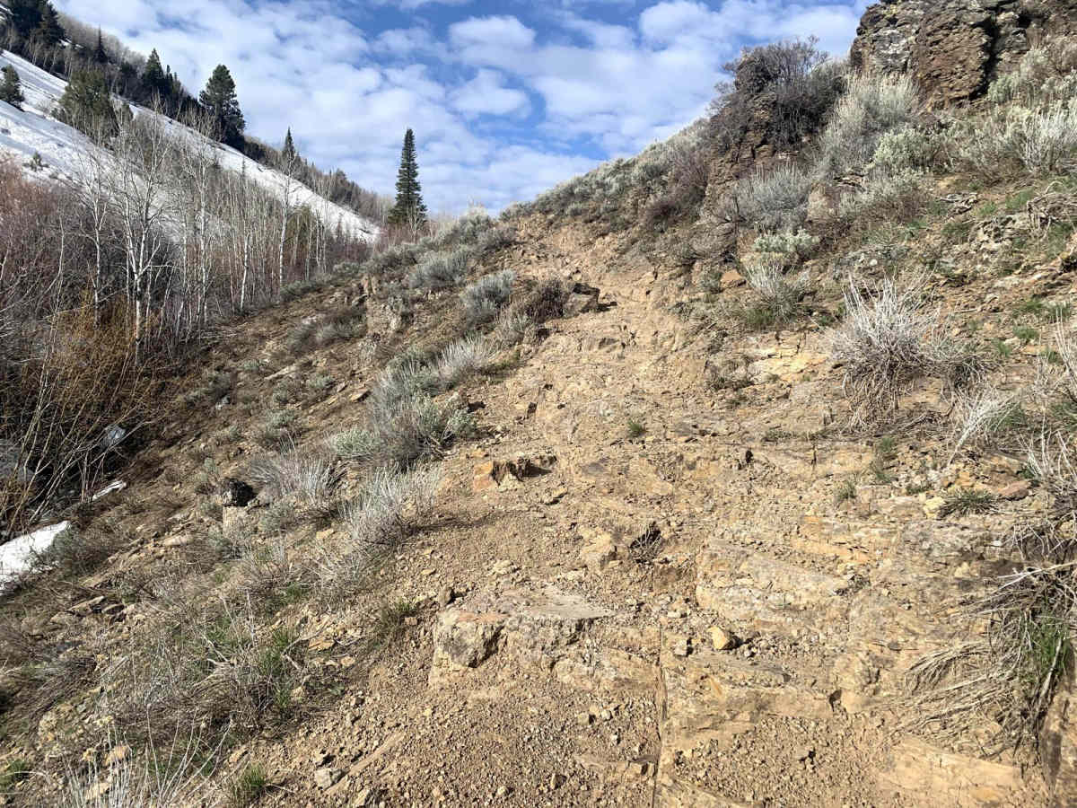 Wahlstrom Hollow Trail photo 6