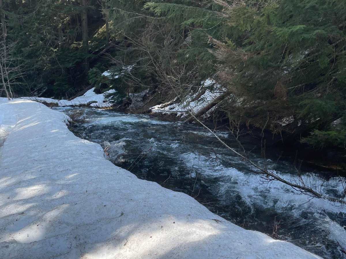Fern Falls photo 3
