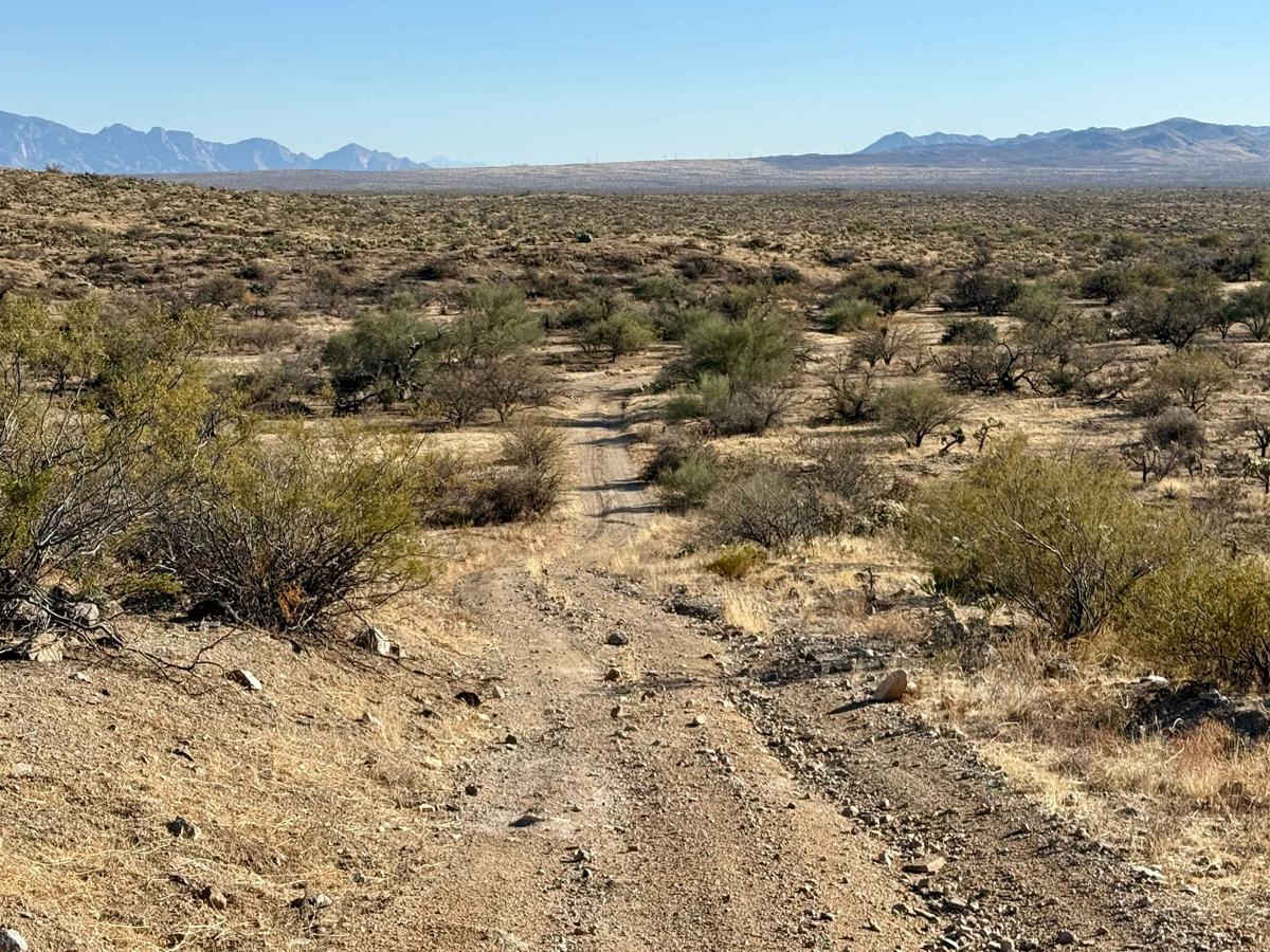Lovetta's Loop trail photo