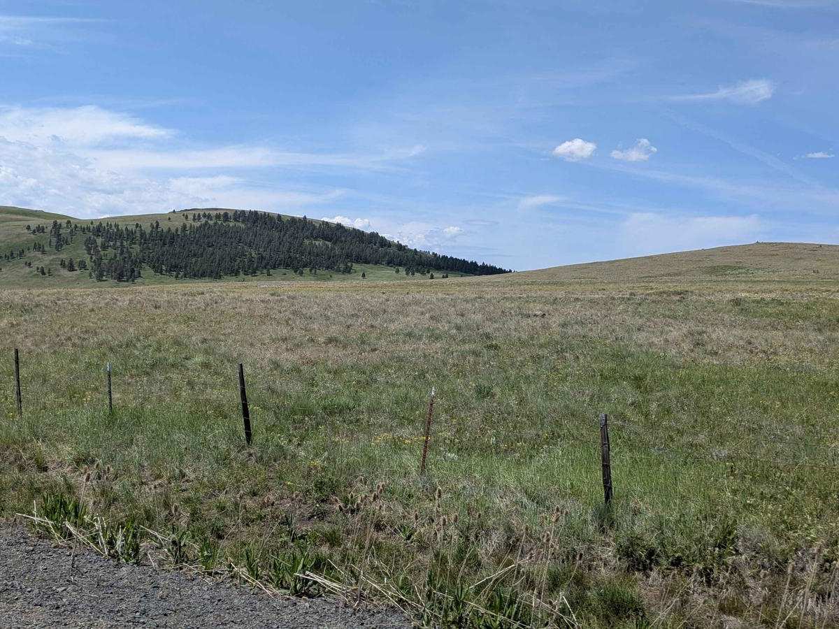 Endless Prarie Road 697 photo 2