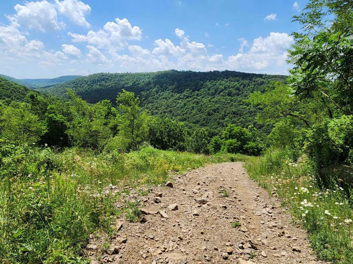 Trail 6E- Rock Run Recreation Area photo 2