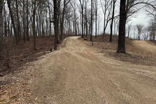 Wildcat Road