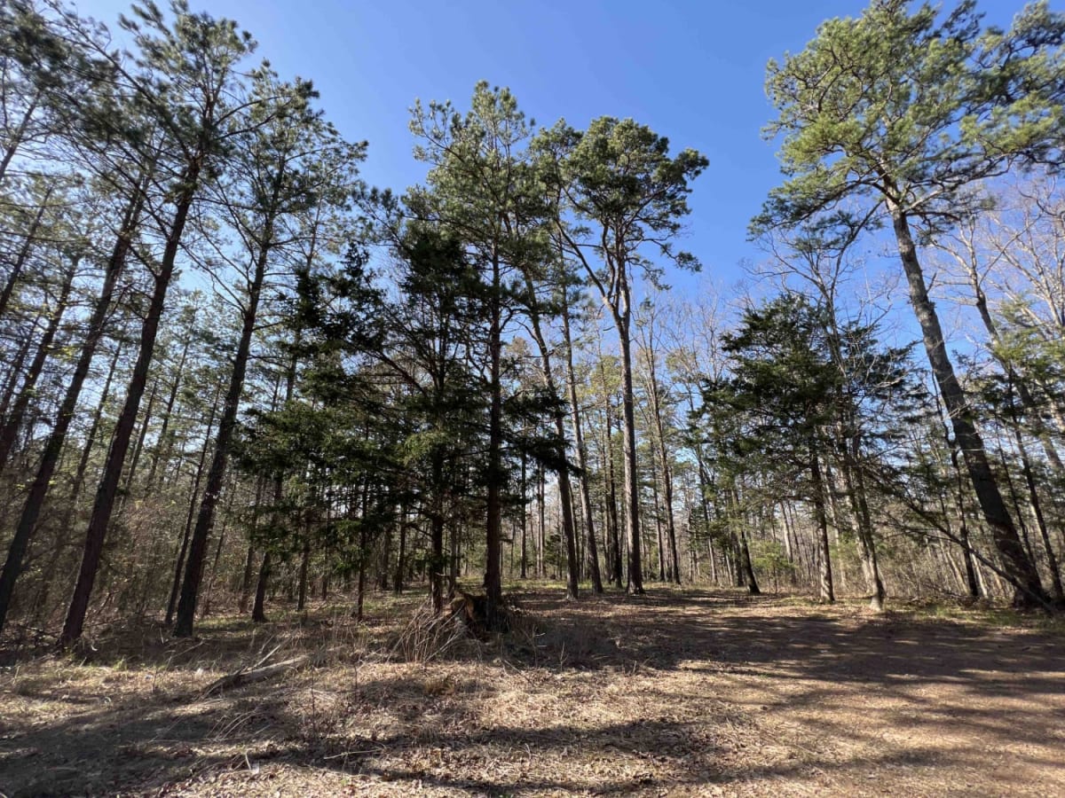 Gafford Creek 519 photo 4