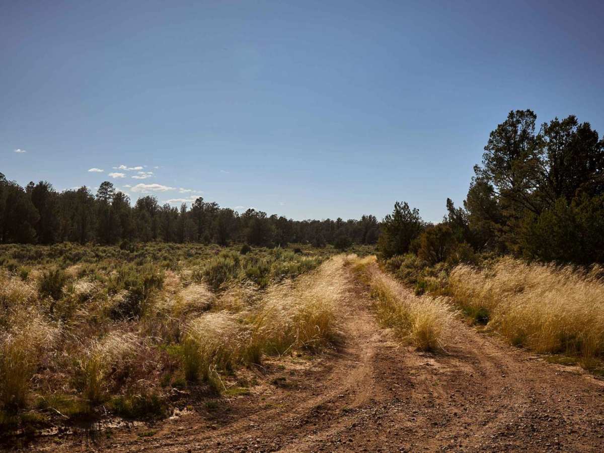 FR 308 trail photo