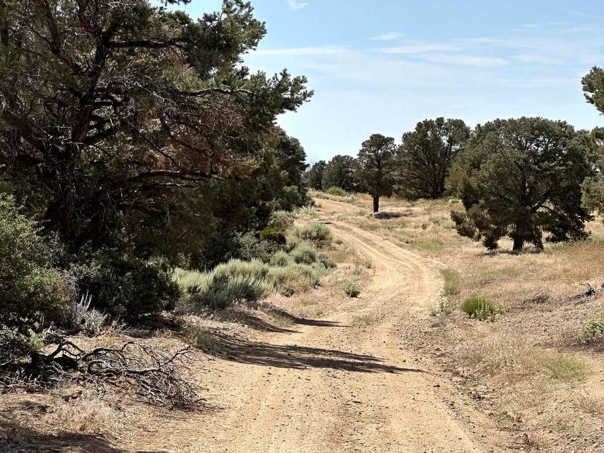 Pinyon Ridge Truck Trail photo 3