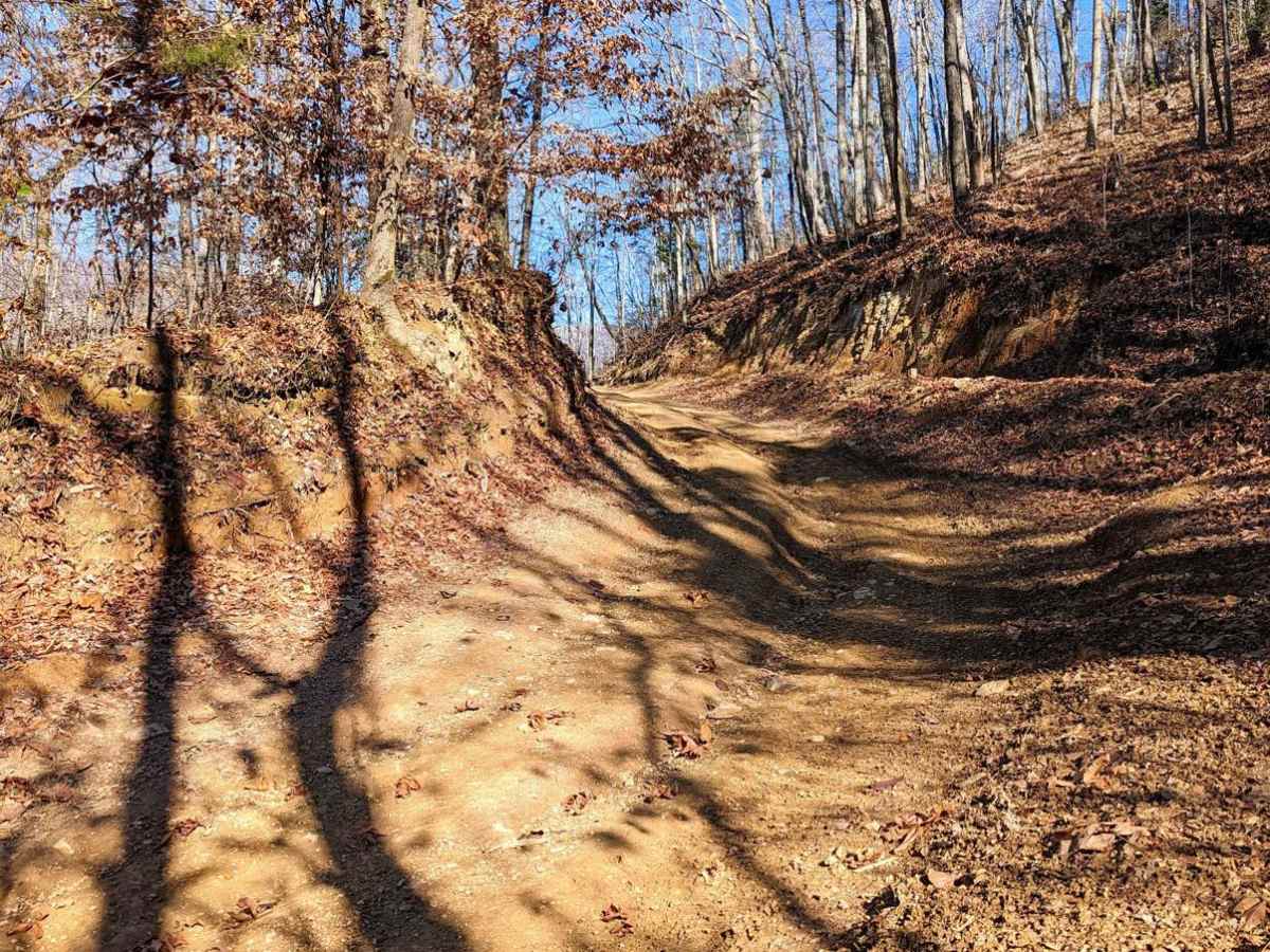 Trail 2 photo 4