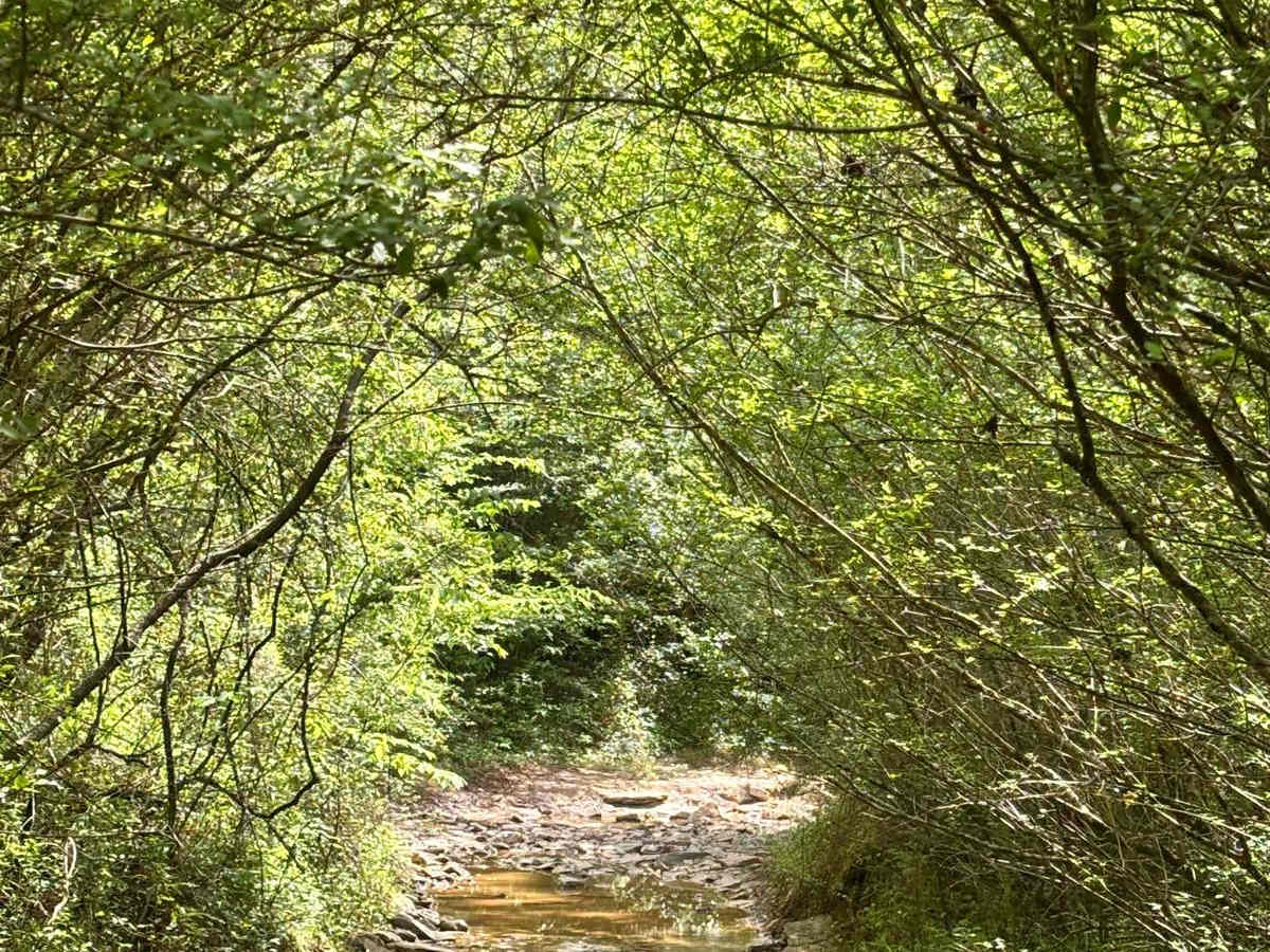 401 Mud photo 2