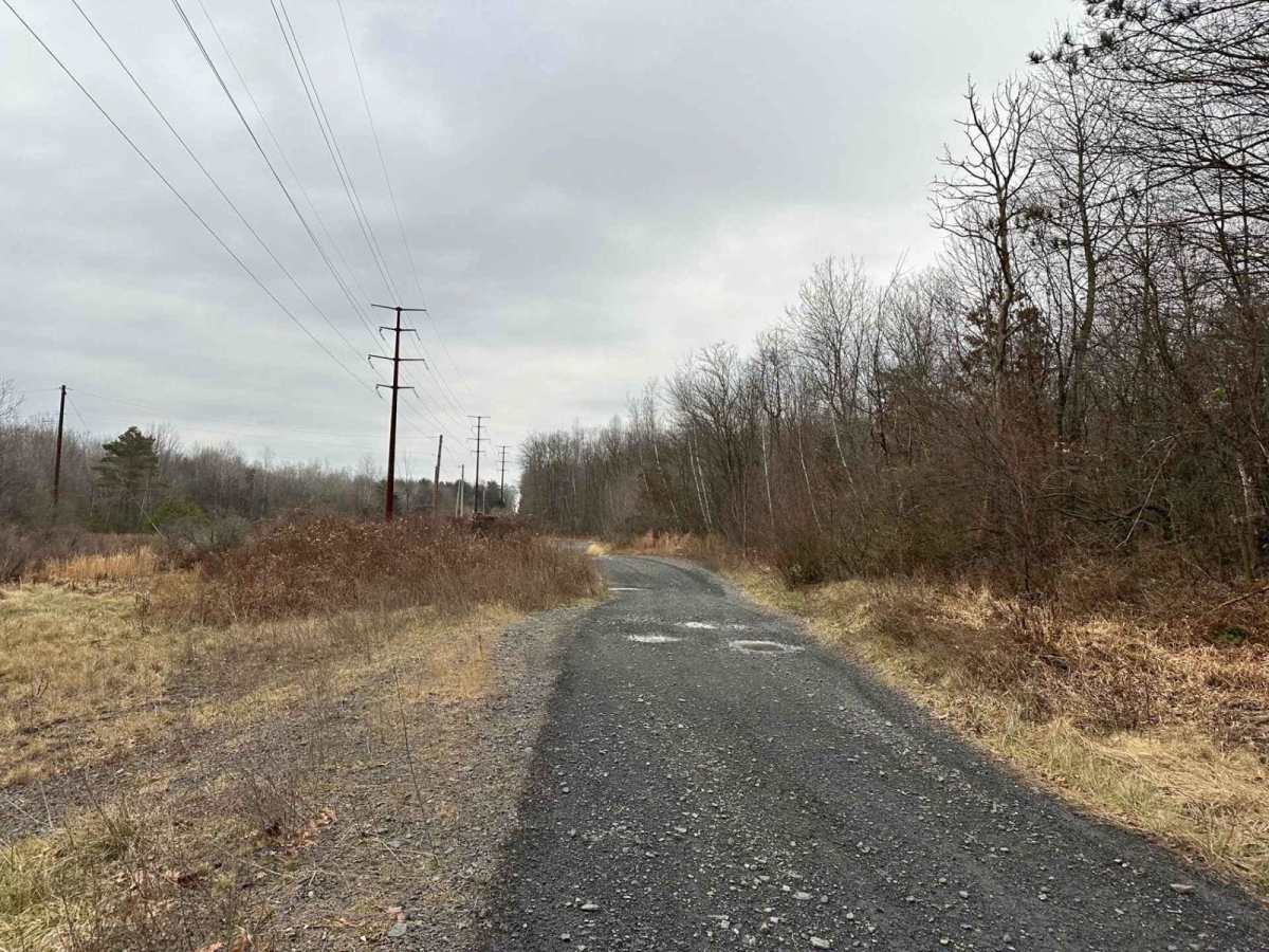 Locust Gap 27 photo 3