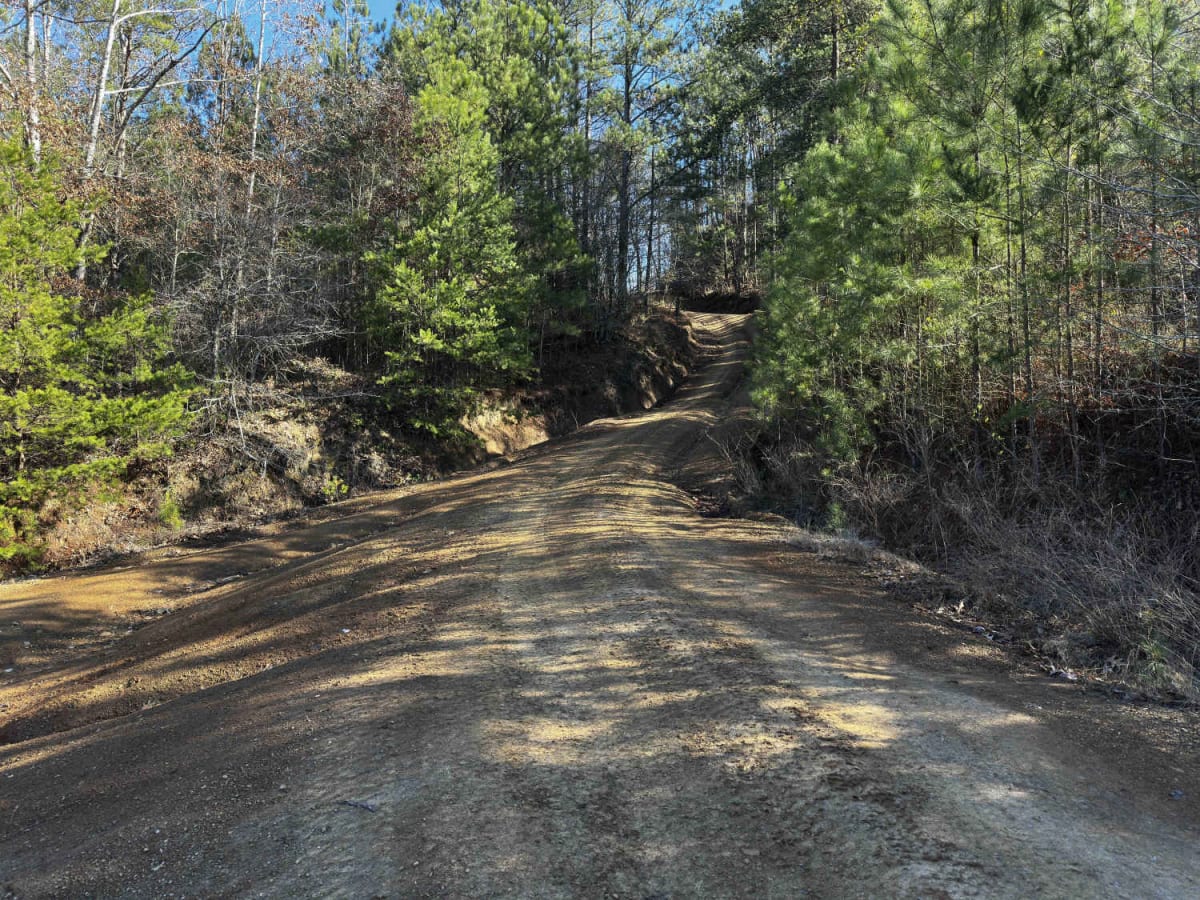 Main Road North photo 4